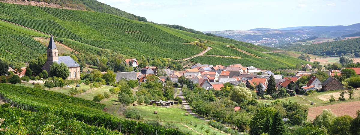 Kirschroth Hunsrück 